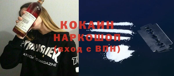 ПСИЛОЦИБИНОВЫЕ ГРИБЫ Абаза