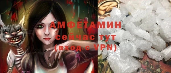 ПСИЛОЦИБИНОВЫЕ ГРИБЫ Абаза