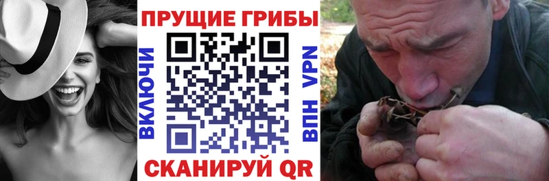 Псилоцибиновые грибы Cubensis  mega рабочий сайт  Иннополис  что такое наркотик 
