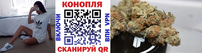 Конопля индика  Иннополис 